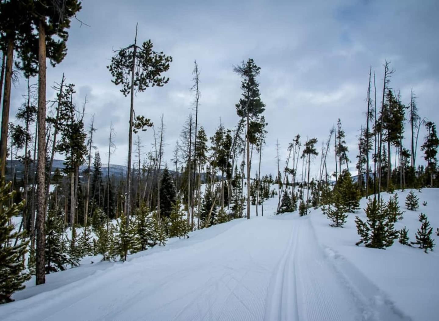 The Loose Moose Cabin #11 At Downtown Grand Lake Luaran gambar